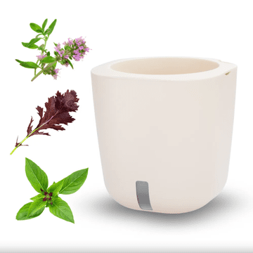 Smart Garden Aurelia Classic “Imunitet” set