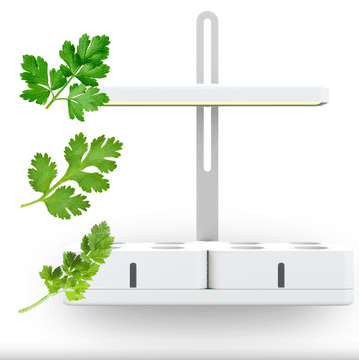 Smart Garden Simply Classic "Detox" set