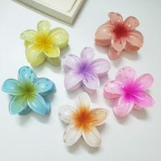 Nikcorp Kvačica za kosu štipaljka u obliku cvijeta set 6 komada, havajska plumerija od akrila, snažno držanje, 8,5 cm, višebojne