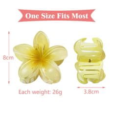 Nikcorp Kvačica za kosu štipaljka u obliku cvijeta set 6 komada, havajska plumerija od akrila, snažno držanje, 8,5 cm, višebojne