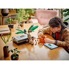 LEGO Harry Potter 76433 Mandragora