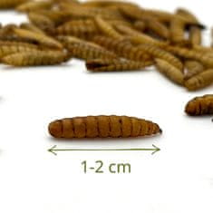 Mersjo Sušene larve crne vojničke muhe za gmazove, glodavce i ribe 1kg BSF