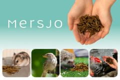 Mersjo Sušene larve crne vojničke muhe za gmazove, glodavce i ribe 1kg BSF