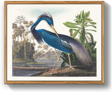 Nikcorp Slika na platnu Plava čaplja u drvenom okviru, vintage stil, zidna dekoracija, HD print, za dnevni boravak i ured, 40x60 cm