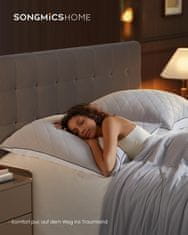 Songmics Jastuk za krevet set od 2 80x80x18 cm siva