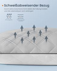 Songmics Jastuk za krevet set od 2 80x80x18 cm siva