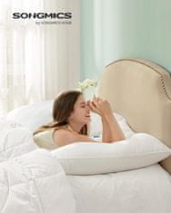 Songmics Jastuk za krevet set od 2 80x80x20 cm bijela