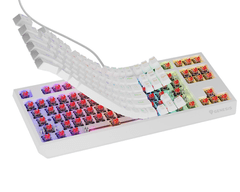 Genesis Thor 230 TKL mehanička gaming tipkovnica, žičana, RGB, Hot-Swap, Outemu crvena, bijela