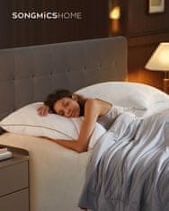 Songmics Jastuk za krevet set od 2 80x80x18 cm bijela