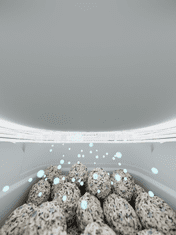 CATLINK Open X pametno mačje stranišče, belo (CATLINK-C08-W)