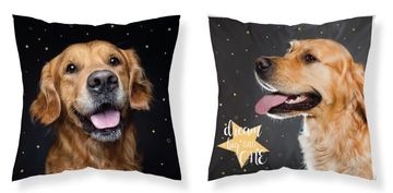 Detexpol Jastučnica 40x40 Labrador mikrofibra