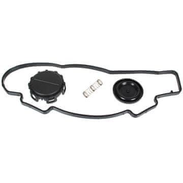 Peugeot 1007 206 207 3008 307 308 407 5008 Expert Partner 1.6 HDI set za popravak pneumatskih ventila, 4 komada KPL