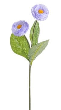 buket od 6 cvjetova DAISY | 124CAN21003