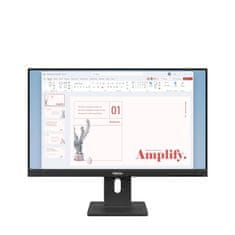 Lenovo ThinkVision E24-40 monitor, 60,4 cm (23,8), IPS, 100 Hz, ergonomsko postolje, WLED, crna (64BAMAT1EU)