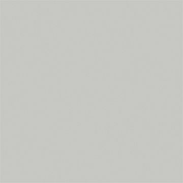 Lak za kosu svijetlo siva RAL 7035 WILCKENS GRANIT kanta 10 l