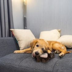 Nikcorp Plišana igračka za pse Dinosaur 20 cm, interaktivna zvučna žvakalica s piskalicom i šuškavim elementima, za njegu zubi i desni