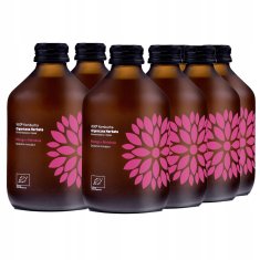 VIGO Kombucha 330 ml