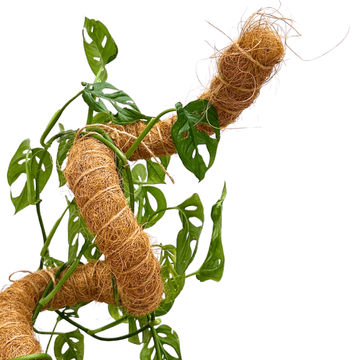 BIO Fleksibilni potporni stup od kokosa 80 cm za biljke, prirodne ljestve