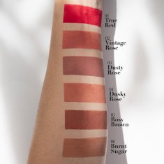 Pierre rene cover matte tekuća matna pomada za usne 08 01 true red 5 ml
