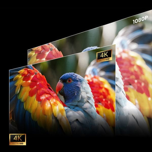 Hisense C3 4K TriChroma