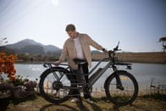 A DECE OASIS 260T električni bicikl, teretni, 250 W, do 180 km, sivi