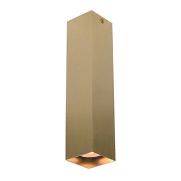 Italux Nadgradna reflektorska svjetiljka ANDER CLN-28394-L-GD