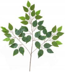 ARPEX Grana benjamina, 65x45 cm, 1 kom.