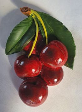 Chomik Magnet za hladnjak CHERRY 10 kom. CERHM6867