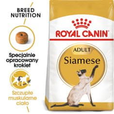 Royal Canin Royal Canin FBN Siamese Adult - suha hrana za odrasle sijamske mačke - 2kg