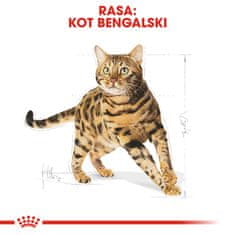 Royal Canin Royal Canin Bengal Adult - suha hrana za odrasle mačke - 2 kg