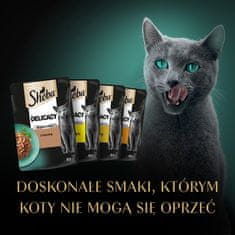 Sheba Sheba delicacy drobiowe smaki w galarecie - drób - mokra hrana za mačke - 40x85g