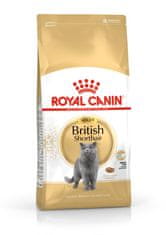 Royal Canin Royal Canin FBN British Shorthair Adult - suha hrana za odrasle mačke - 4kg