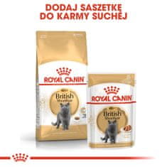 Royal Canin Royal Canin FBN British Shorthair Adult - suha hrana za odrasle mačke - 4kg