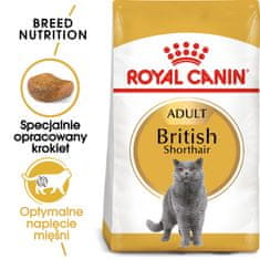 Royal Canin Royal Canin FBN British Shorthair Adult - suha hrana za odrasle mačke - 4kg