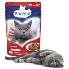 PreVital PREVITAL Govedina u želeu - mokra hrana za mačke - 100g