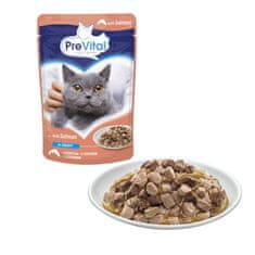 PreVital PREVITAL Losos u umaku - vlažna hrana za mačke - 100g