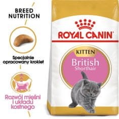 Royal Canin Royal Canin FBN British Shorthair Kitten - suha hrana za mačiće - 2 kg