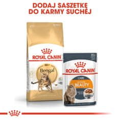 Royal Canin Royal Canin Bengal Adult - suha hrana za odrasle mačke - 10 kg