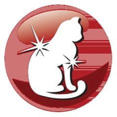 PreVital Prevital -z govedinom suha hrana - potpuna hrana za odrasle mačke - 1,4kg