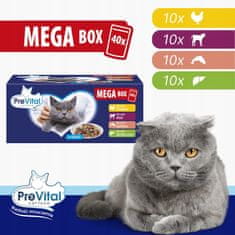 PreVital Prevital vrećice za mačke mix okusa kutija 40x100g