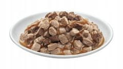 PreVital Prevital vrećice za mačke mix okusa kutija 40x100g