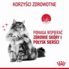 Royal Canin Karma royal canin intense beauty s umakom 12x85g