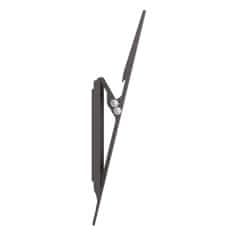 Champion Slim Tilt zidni nosač za TV 32-55 inča