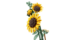 LEGO Botanicals 11502 Buket suncokreta