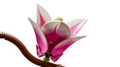 LEGO Botanicals 11510 Grane magnolije