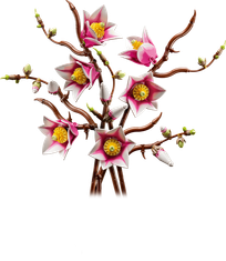 LEGO Botanicals 11510 Grane magnolije