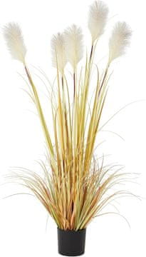 Nikcorp Umjetna pampas trava u posudi 150 cm, zlatno-bež dekorativna biljka, visoka umjetna trava za interijer, boho stil