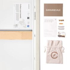 Nikcorp Slika na platnu i pluto ploča Karta svijeta s pribadačama, dekorativna karta Europe za putovanja, mat završna obrada, 90x60 cm