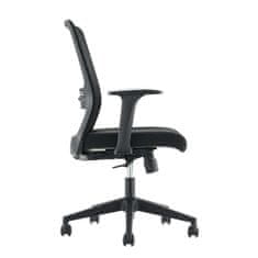 Fort Uredska stolica Teddy