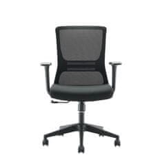 Fort Uredska stolica Teddy